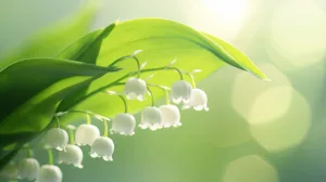 Travail le 1er mai : vers une nouvelle loi pour les boulangers et fleuristes